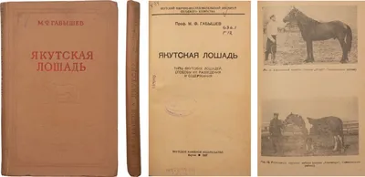 В Якутии появился второй племзавод по разведению якутских лошадей —  Yakutia-daily.ru