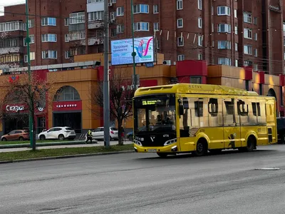 В мэрии Ярославля назвали основные жалобы жителей на общественный  транспорт- Яррег - новости Ярославской области