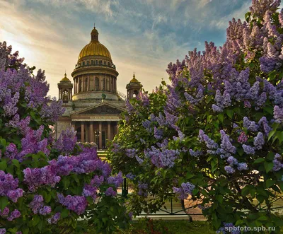 Исаакиевский собор в Санкт-Петербурге 💥: история создания, где находится,  как добраться, режим работы, билеты — Tripster.ru