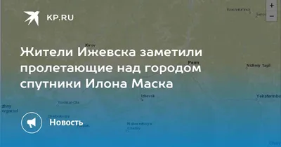 Лада-Спутник» не устояла в столкновении с лосем в Удмуртии | 10.07.2023 |  Ижевск - БезФормата