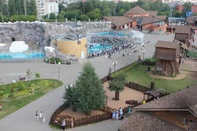 The Izhevsk Zoo. The State Zoological Park of Udmurtia - YouTube