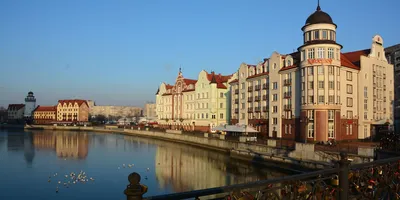 В Калининградскую область доставили очередную партию «Спутника V» |  09.07.2021 | Новости Калининграда - БезФормата