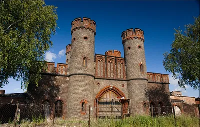 Diario de Флора Калининградской области | Kaliningrad Oblast Flora ·  NaturaLista Mexico