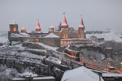 Цветок на камне - Каменец-Подольский