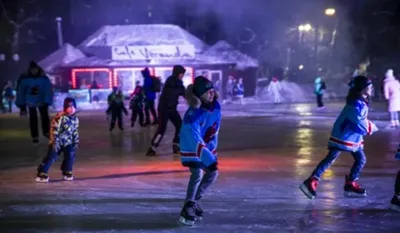 В Новосибирске открылся каток в Заельцовском парке | ОБЩЕСТВО | АиФ  Новосибирск