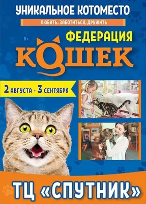 Спутник – оздоровительный лагерь, Кемерово. Путевки в детский лагерь на  2024 год