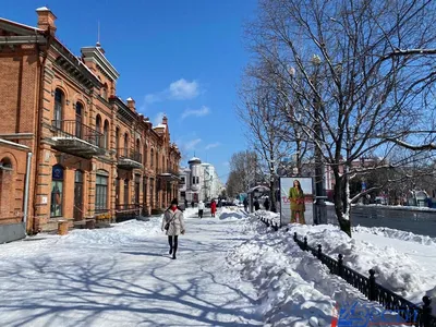 Снегопад и пробки вернулись в Хабаровск (ФОТО; ОБНОВЛЕНИЕ) — Новости  Хабаровска