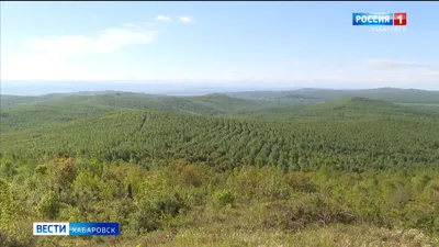 Лучшие фотографии Хабаровского края за неделю из соцсетей - AmurMedia.ru