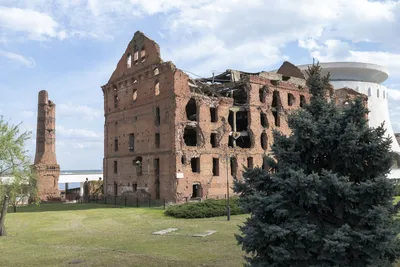 Копировальный Центр в Волгограде, ул. КИМ, 16 - фото, отзывы 2024, рейтинг,  телефон и адрес