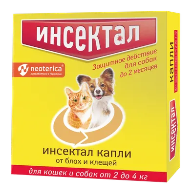 Почему кошки и коты боятся собак – 3 причины