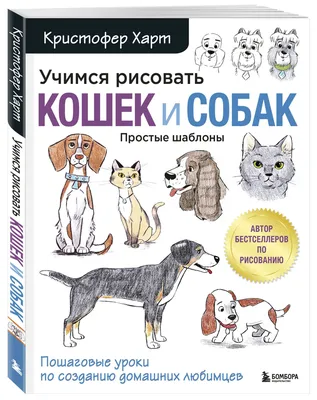 ТОП собак, которые любят кошек - BarberPet