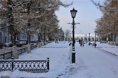 Семь причин приехать в Кострому в новогодние праздники | Истории