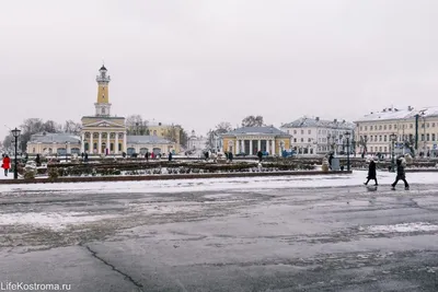 Ледяной терем, лосиная ферма и самовар-эгоист: что посмотреть в Костроме  зимой - Ведомости.Город