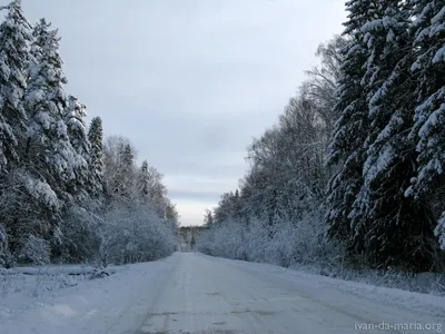 Зимняя Кострома на фотографиях - В плену снега и льда