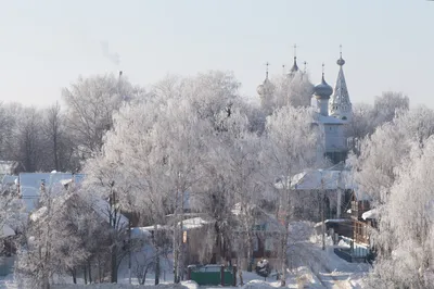 Красивые полуголые Снегурочки в Костроме отметили Новый год по-своему —  Новости Костромы