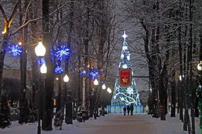 Капремонт на Сусанинской площади в Костроме продолжится и зимой | ОБЩЕСТВО  | АиФ Кострома