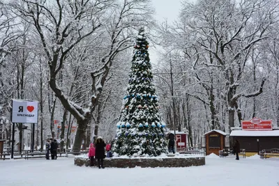 Зима в Краснодаре и город зимой + фото зимнего Краснодара - Переезд в  Краснодар на ПМЖ 2023 - 2024. Всё о Краснодаре!