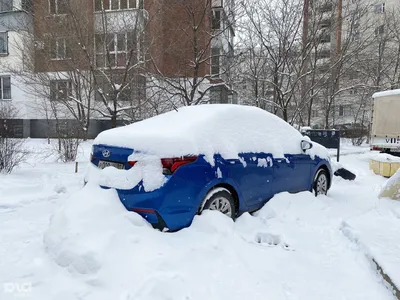 Зима в Краснодаре: в парке Галицкого появились продавцы снега