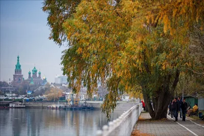 Парк «Краснодар» / Парк Галицкого, Краснодар - «Парк Галицкого - невозможно  пройти мимо, завораживающая красота. Стоит ли ехать туда зимой? Лучше парка  я однозначно не встречала. » | отзывы