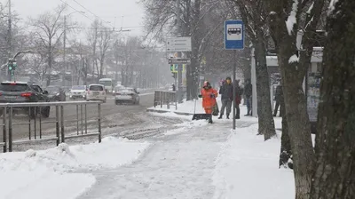 Краснодар занял место в Топе лучших городов для отдыха зимой • TOP24 •  Краснодар