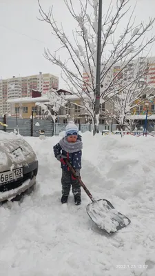 Краснодар зимой» — создано в Шедевруме