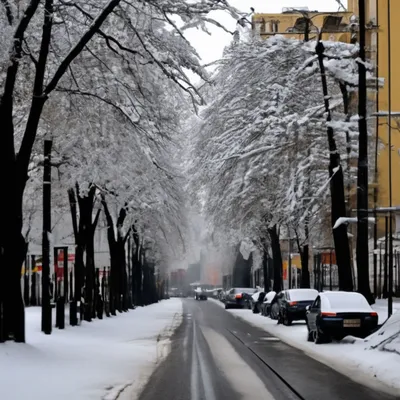 Про снег в Краснодаре