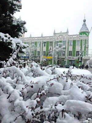 Какой будет зима в Краснодаре, прогноз погоды на зиму в Краснодаре и  Краснодарском крае - 15 ноября 2021 - 93.ru