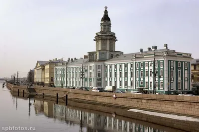 В День Кунсткамеры вход в музей в Петербурге станет бесплатным | Телеканал  Санкт-Петербург