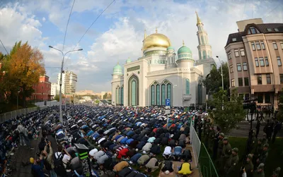 Курбан-байрам: Москва отметит праздник без заклания животных - МК