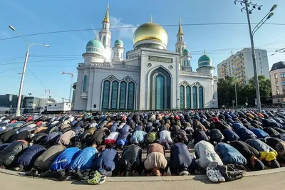 240 тыс. мусульман отметили Курбан-байрам в Москве — 11.08.2019 — В России  на РЕН ТВ