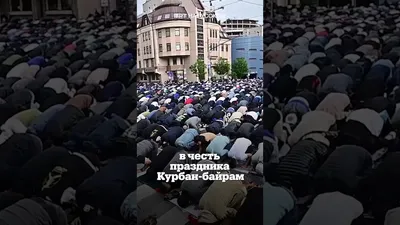 Места для забоя животных на Курбан-байрам появятся за пределами МКАД –  Москва 24, 01.09.2016