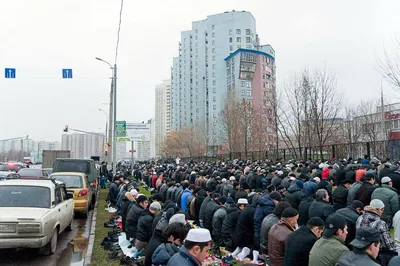 Агентство городских новостей «Москва» - Фотобанк