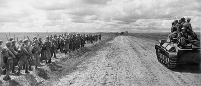 Фото Курская дуга 1943 фотографии