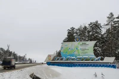 Леса Самарской области, в которых нужно побывать каждому / Природа / Гайды  / Кому на Волге