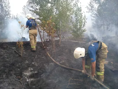 Панорама леса с видом на Волгу и город Тольятти - Фото с высоты птичьего  полета, съемка с квадрокоптера - PilotHub