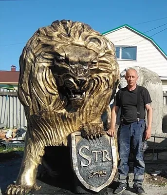 СТРИЖКА ВОРОНЕЖ Боровое (@lion.vrn.borovoe) • Instagram photos and videos