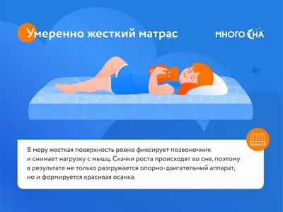 Лион Лежак Бруно, 60х50х20 см LM00104-4, шт. – купить в Воронеже |  Интернет-магазин «Две собаки»