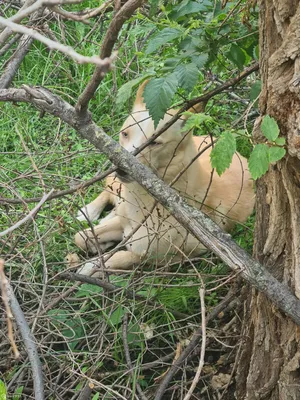 ФИТНЕС LION | ВОРОНЕЖ (@_lion_vrn_) • Instagram photos and videos