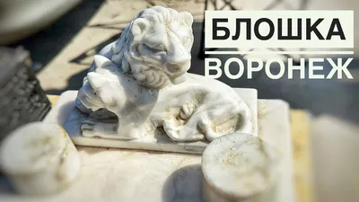Детский матрас Agreen Save Lion – купить в Воронеже, цены в  интернет-магазине «МногоСна»