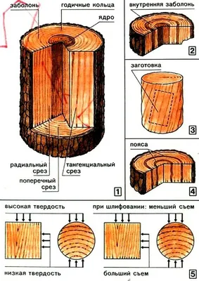 Мебель из дерева своими руками