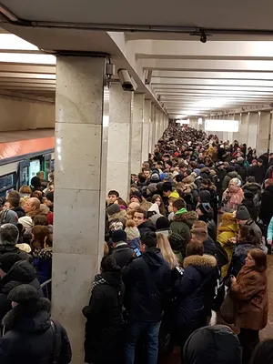 В час пик на станции метро «Парк культуры» в Москве случился коллапс, там  сломался эскалатор, видео, подробности, люди выстроились в большую очередь,  Кольцевая и Сокольническая линии метро, коричневая и красная ветка -