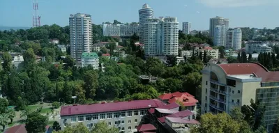 Купить панно (серия города) «Сочи»