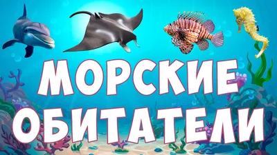 Фигурки игрушки серии \"Мир морских животных\": Манта, нарвал, морж, рыба-пила,  акула-зебра, дайвер (набор из 5 фигурок животных и 1 человека) - купить с  доставкой по выгодным ценам в интернет-магазине OZON (265132793)