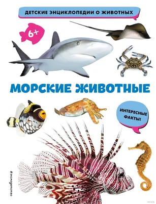 Рыбы и диких морских животных в океане Жители мира море, красивые подводные  существа, жители коралловых рифов в естественном Иллюстрация вектора -  иллюстрации насчитывающей жизнь, ангстрома: 197844085