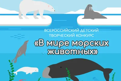 8 мультфильм морских животных дизайн векторных материалов PNG , акула, кит,  Тропическая рыба PNG картинки и пнг PSD рисунок для бесплатной загрузки