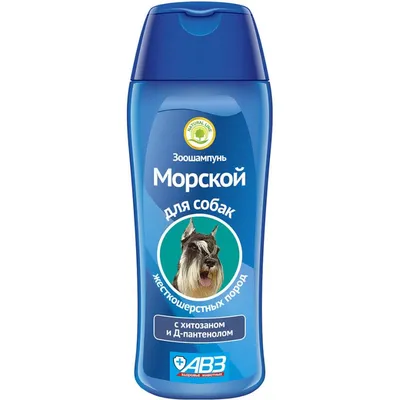 ОТДЫХ НА ПЛЯЖЕ С СОБАКОЙ: МЕРЫ ПРЕДОСТОРОЖНОСТИ - LOVE FERPLAST