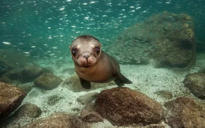 ТОП-4 тура для максимального релакса в компании Морской Собаки🌊 ⠀ Погодка  начала чаще и активнее радовать нас солнцем. А это значит, что… | Instagram