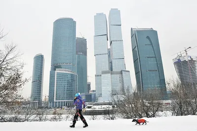 Москва-Сити: небоскребы и современное искусство 🧭 цена экскурсии 650 руб.,  496 отзывов, расписание экскурсий в Москве