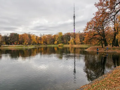 Осенние парки Москвы | Пикабу