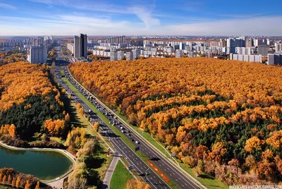 Москва меняется - УТРЕННЯЯ СКАЗКА Сказочная осенняя... | Facebook